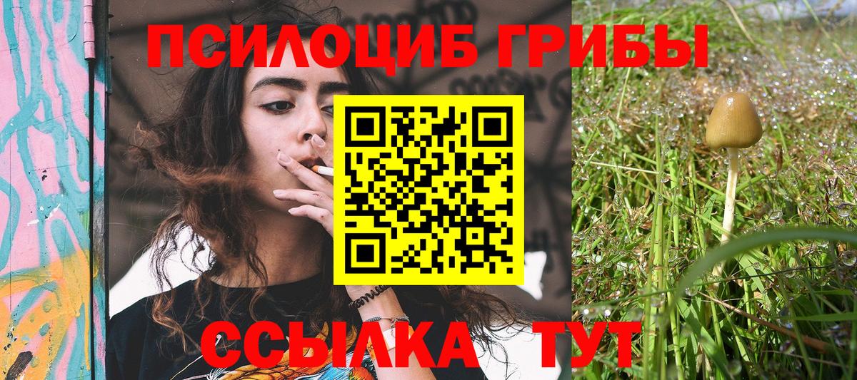 Галлюциногенные грибы мицелий Дивногорск