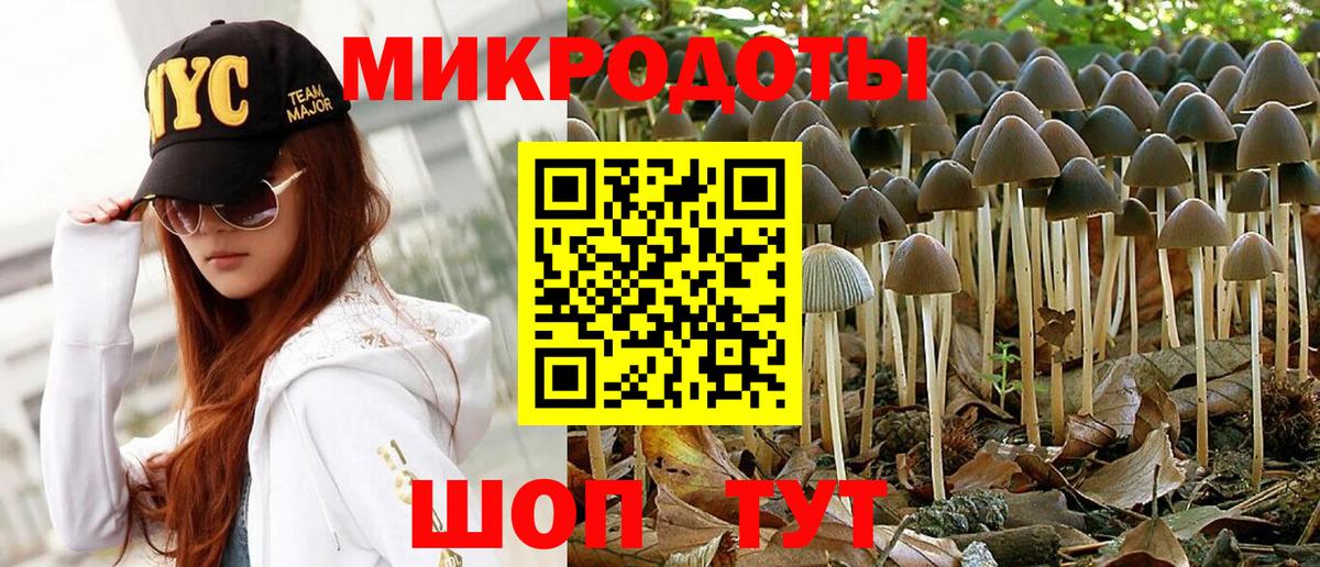 Псилоцибиновые грибы MAGIC MUSHROOMS  Псилоцибиновые грибы GOLDEN TEACHER  Дивногорск  Вход с VPN 